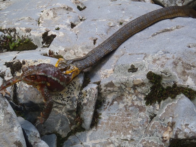 c0147398_10254980.jpg