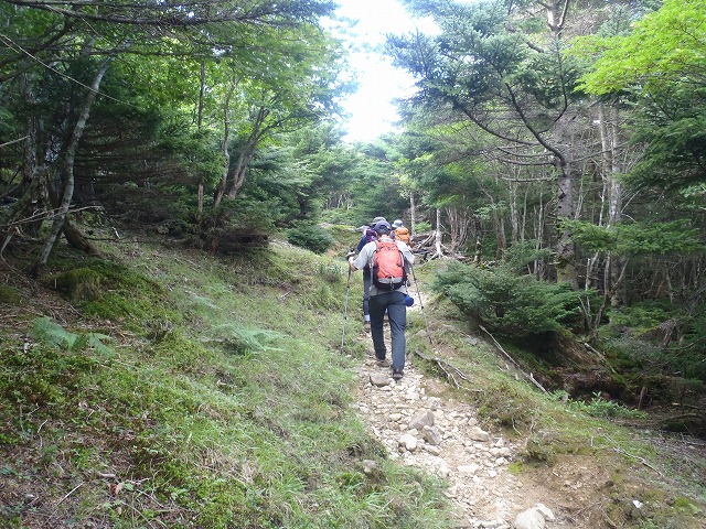 c0147398_10263875.jpg