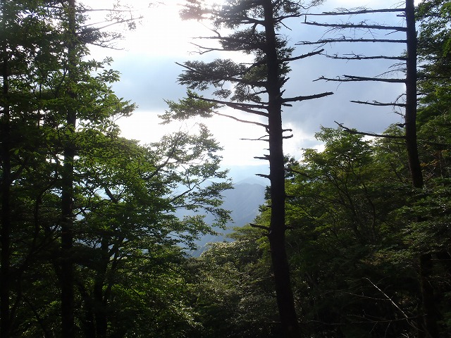 c0147398_1026469.jpg