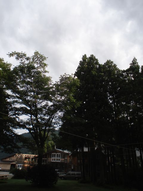 a0061599_6513733.jpg