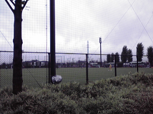 e0193506_1153678.jpg