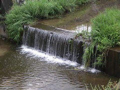 c0190010_16411367.jpg