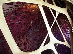 c0190010_1714446.jpg