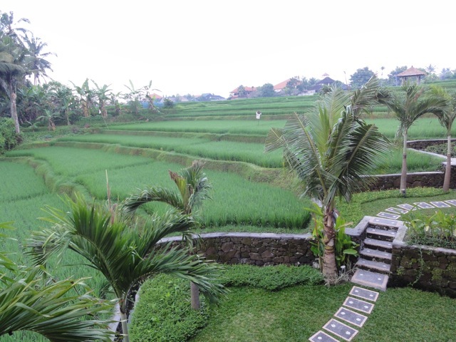 c0196611_14375444.jpg