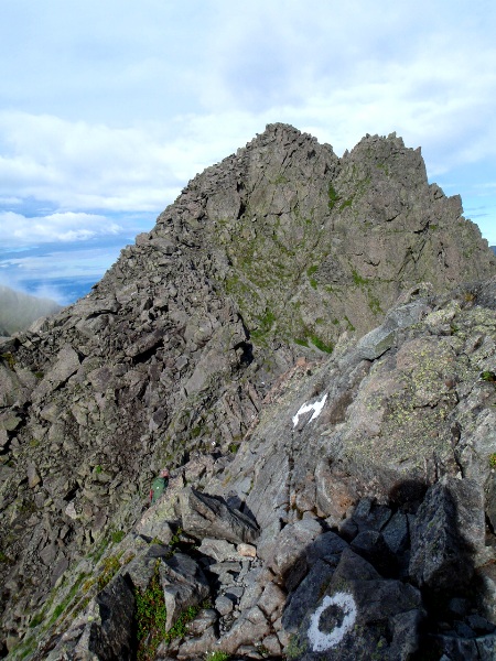c0177814_0214471.jpg