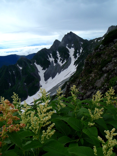 c0177814_025010.jpg