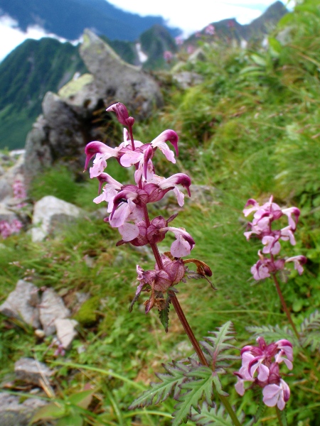 c0177814_0252690.jpg