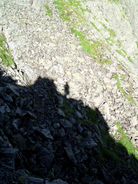 c0177814_0332330.jpg