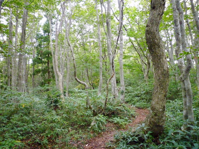 d0170615_9394315.jpg