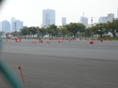 d0153421_095348.jpg