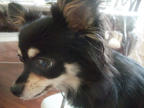 f0238932_1450179.jpg