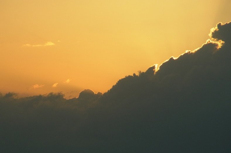 a0017634_11403862.jpg