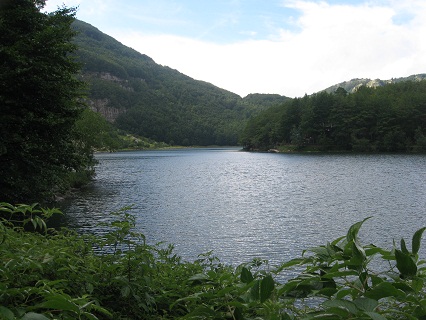 f0234936_0194065.jpg