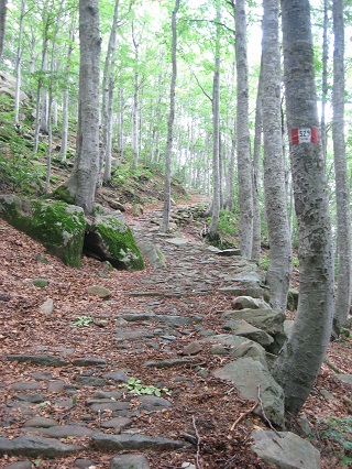 f0234936_0253435.jpg