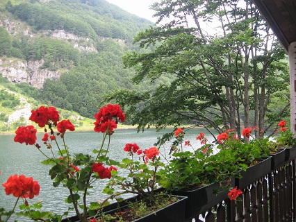 f0234936_0261911.jpg