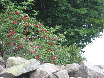 f0234936_0293391.jpg