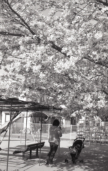 e0136745_17572219.gif