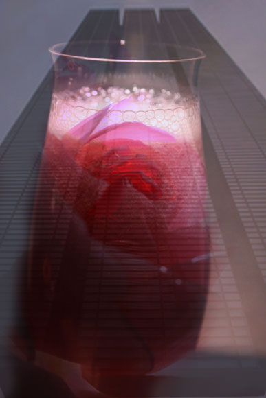 e0046147_22571549.jpg