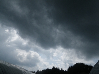 f0055264_19355373.jpg