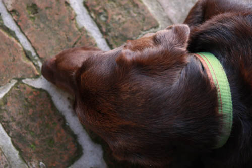 f0021369_22253756.jpg