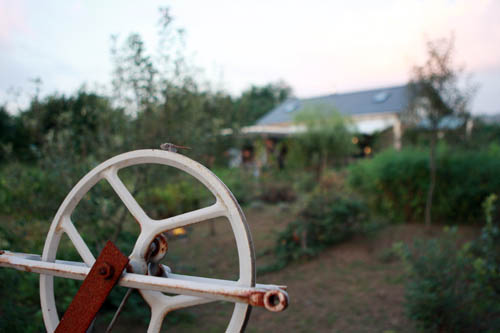 f0021369_2226182.jpg