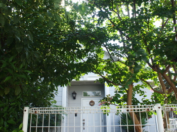 d0163670_16100100.jpg