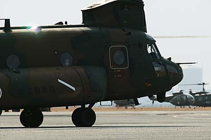 a0121671_1583321.jpg