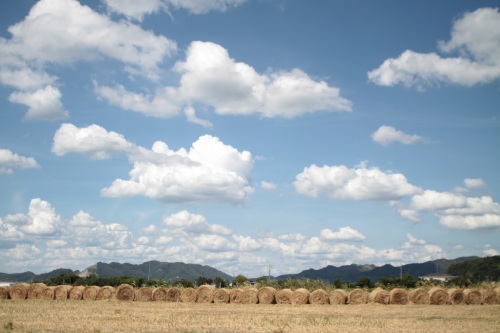 f0232876_20384.jpg