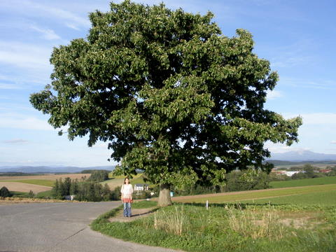 a0160279_21545114.jpg
