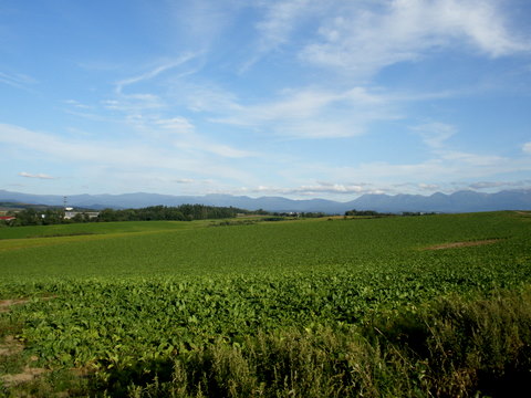 a0160279_21593187.jpg