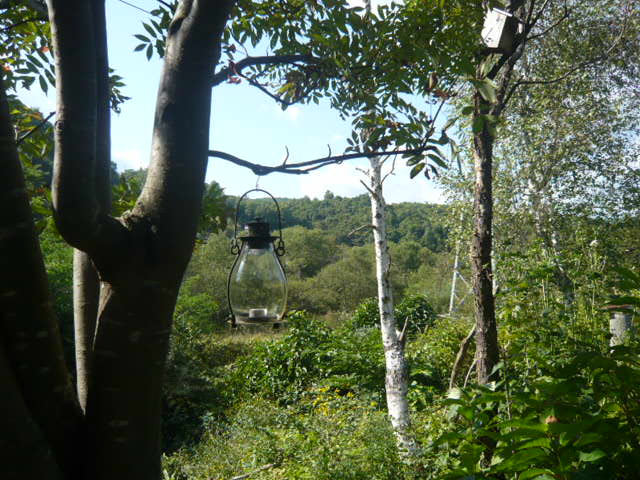 c0175679_10272478.jpg