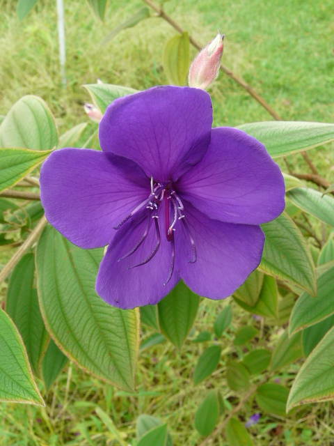 e0145782_94115100.jpg