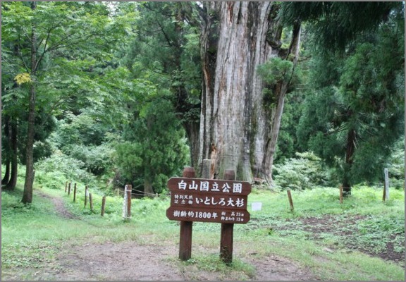 c0144185_11142419.jpg