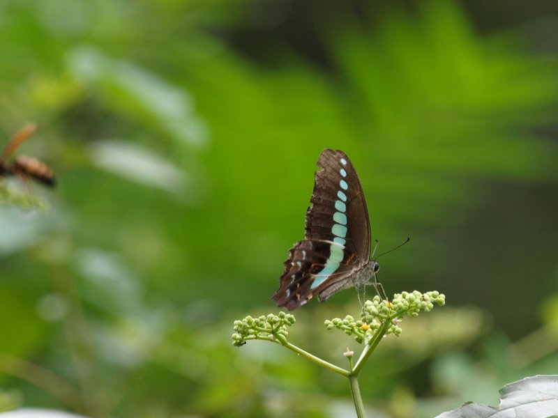 b0108186_2374017.jpg
