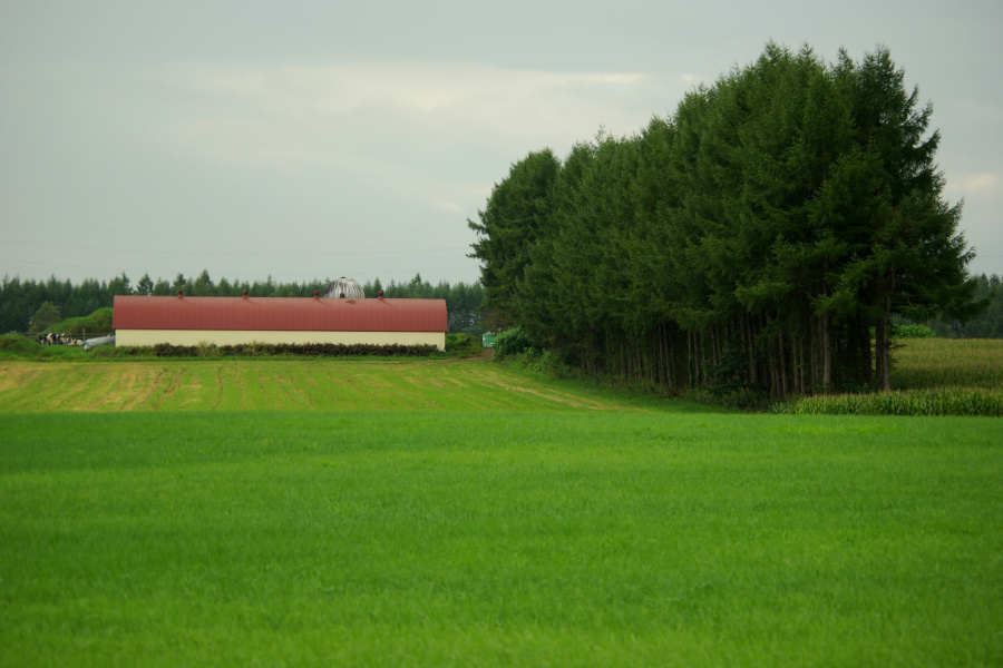 e0051186_20151936.jpg