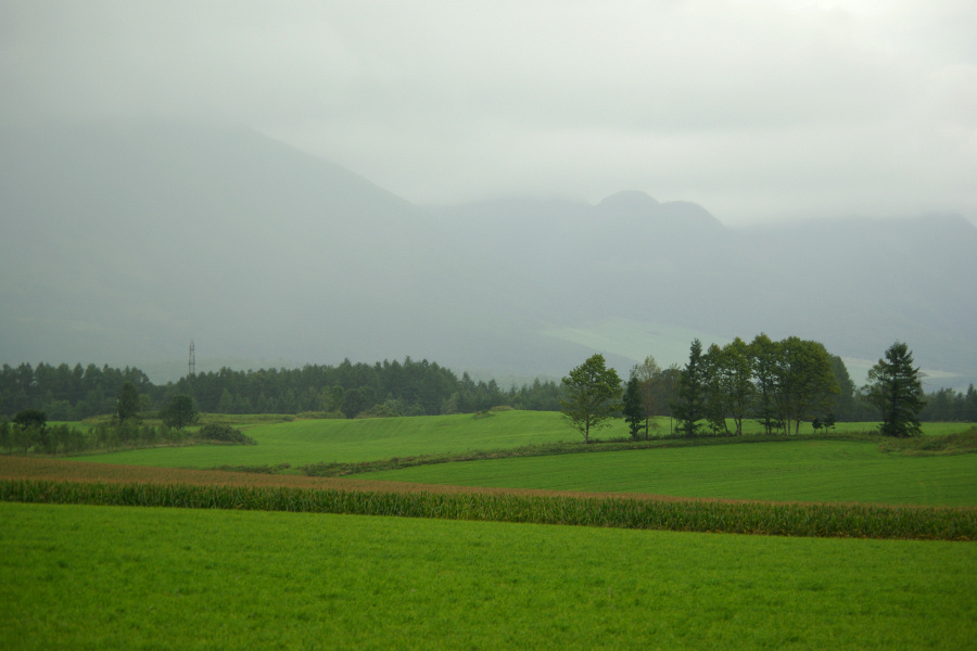 e0051186_20153250.jpg