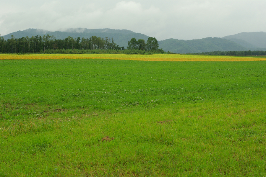 e0051186_20154338.jpg