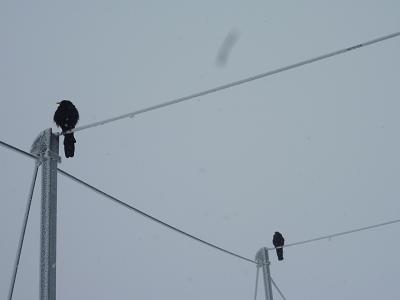 c0123890_16301426.jpg