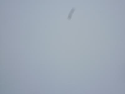 c0123890_16331292.jpg