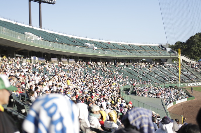 f0219195_175390.jpg