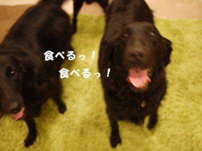 c0050400_15225468.jpg