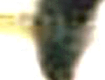 e0103408_15382110.gif