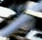 e0103408_15441831.gif