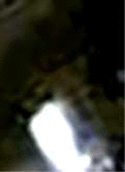 e0103408_1544439.gif