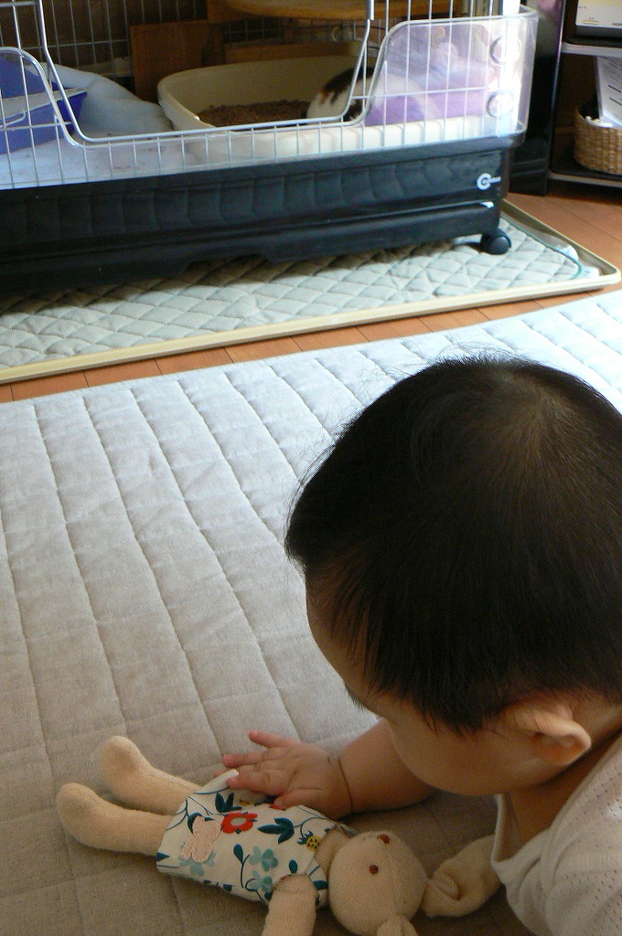 b0181615_1505951.jpg