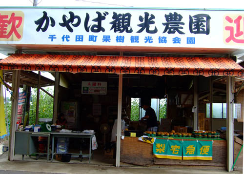 f0147025_17552311.jpg