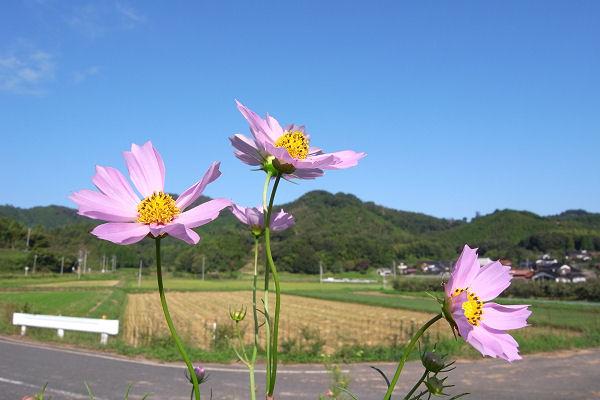 f0007926_10235682.jpg