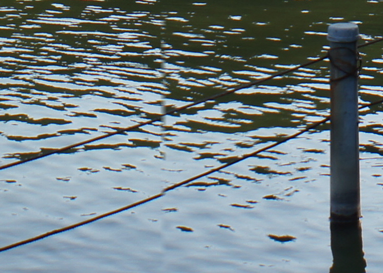 c0109827_7101242.jpg