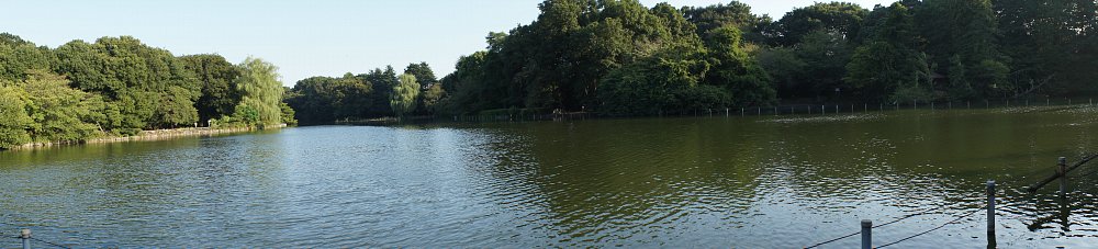 c0109827_775270.jpg