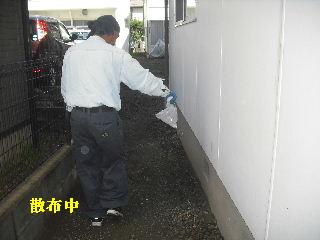 f0031037_19131116.jpg